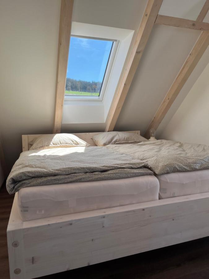 U Kralika, Apartman H, 3 Samostatne Loznice - Mezonet, Vlastni Parkovani, 50 Metru Od Vleku , Vysousece Bot V Lyzarne Dolní Morava Exterior foto
