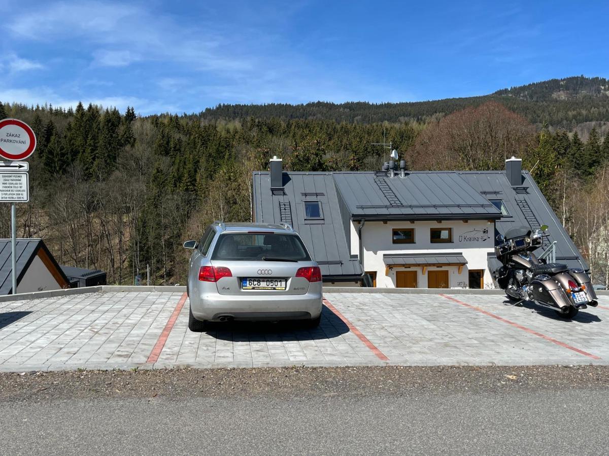 U Kralika, Apartman H, 3 Samostatne Loznice - Mezonet, Vlastni Parkovani, 50 Metru Od Vleku , Vysousece Bot V Lyzarne Dolní Morava Exterior foto